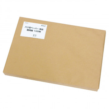 アーテック 八切ペーパー単品画用紙 4穴 100枚 003454