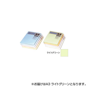 オストリッチダイヤ ニューファインカラーPPC用紙 A3 ライトグリーン 500枚入 FRG5-A3
