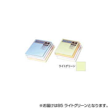 オストリッチダイヤ ニューファインカラーPPC用紙 B5 ライトグリーン 500枚入 FRG5-B5