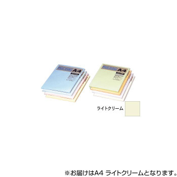 オストリッチダイヤ ニューファインカラーPPC用紙 A4 ライトクリーム 500枚入 FRC5-A4