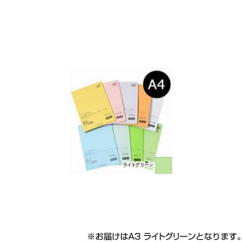 オストリッチダイヤ リッチライト 厚口カラーペーパー A3 ライトグリーン 50枚パック入 HC-A43