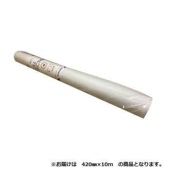 オストリッチダイヤ 1ミリ方眼紙ロールセクション 420mm×10m 1本 41