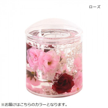 アクリル綿棒立て ローズ 30120951015