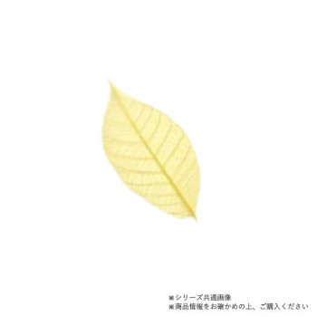 萬洋(まんよう) カラースカシ木の葉(黄)約16cm50入 18-788C