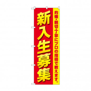 のぼり 新入生募集  GNB-4285