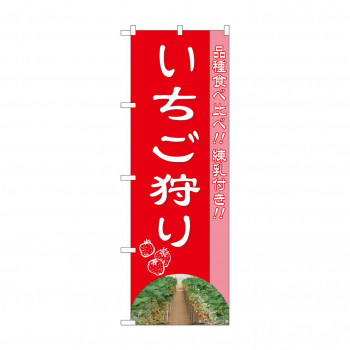 のぼり いちご狩り品種食べ比べ  81980