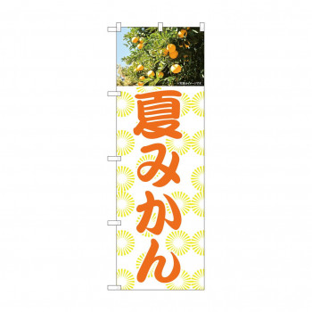 のぼり 夏みかん  81992