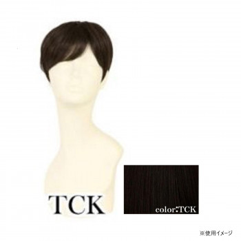 プリシラ  男性用5分ウィッグ ミディアムショート 耐熱 ショコラブラック GB-24-TCK