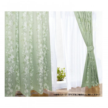 Arie(アーリエ) ローリア カーテン 2枚組 105×135 G 568597000135035