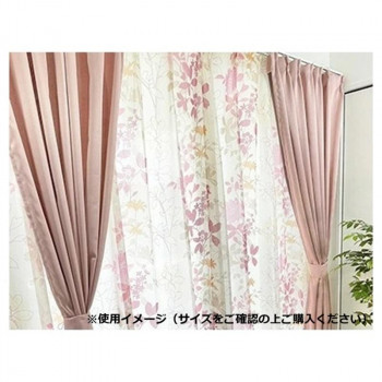Arie(アーリエ) シルエス(HZ) 4枚組カーテン 100×200 RO 547311000003014
