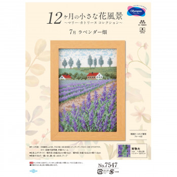 オリムパス 12ケ月の花風景 7月 ラベンダー畑 7547