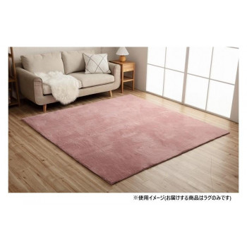 ラピアス ラグ 200×200cm DPK 3987859