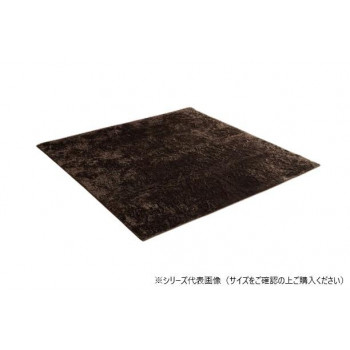 ラグ 制菌加工 約2畳 約185×185cm ホットカーペット対応 ブラウン 3985109