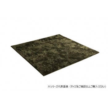 ラグ 制菌加工 約3畳 約200×250cm ホットカーペット対応 グリーン 3985179