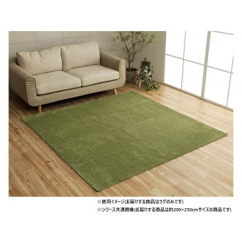 ミックスパイル ラグ 約3畳 約200×250cm ホットカーペット対応 グリーン 3985479