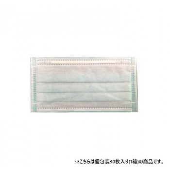 アレルプルーフマスク 日本製 30枚入 7710119