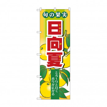 のぼり 7977 旬の果実 日向夏