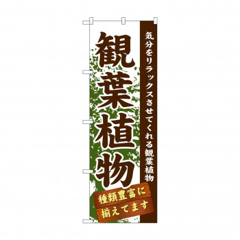 のぼり GNB-1071 観葉植物