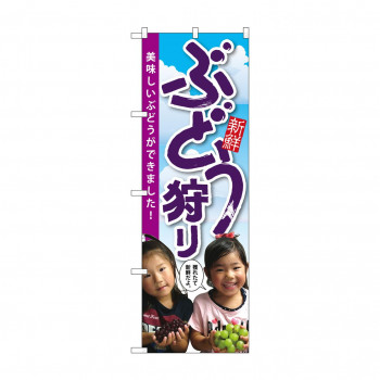 のぼり SNB-2202 ぶどう狩り 子供写真