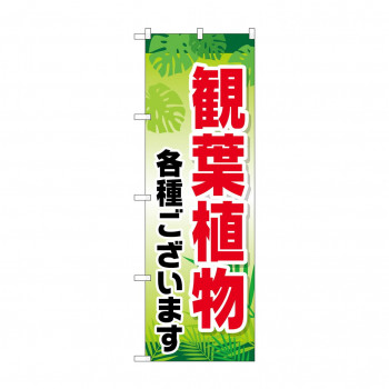 のぼり GNB-2531 観葉植物各種ございま