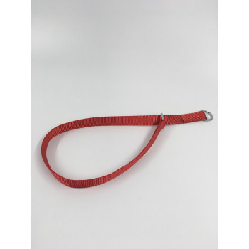 プロ用訓練リード　フラットンカラー　L65cm　赤 030865