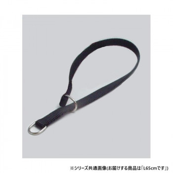 プロ用訓練リード　フラットンカラー　L65cm　黒 030841