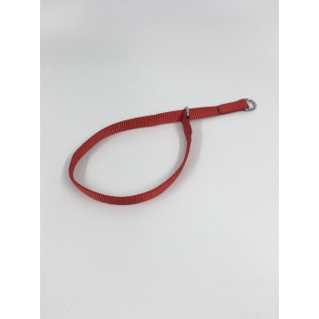 プロ用訓練リード　フラットンカラー　M55cm  赤 030834
