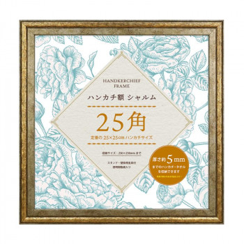 ハンカチ額シャルム25角　DGD　106-712
