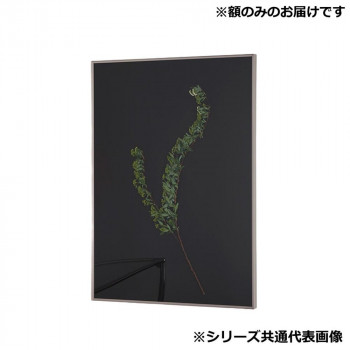 アルナ 額縁 シンプル ALUMIUM RIM マットシルバー 250角 16701