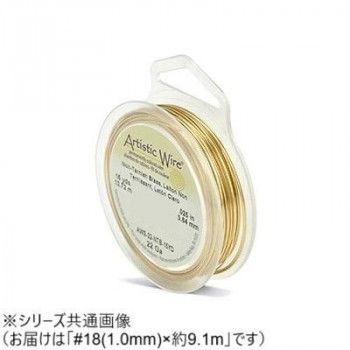 AW ワイヤー（オールドスプールス） ノンターニッシュブラス18(1.0Φ) 18（1.0mm）約9.1m