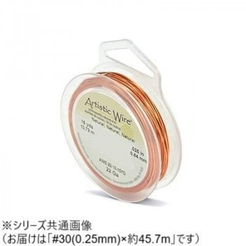 AW ワイヤー（オールドスプールス） ナチュラル30(0.25Φ) 30（0.25mm）約45.7m