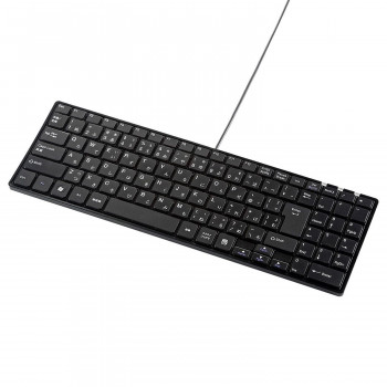 サンワサプライ USBスリムキーボード テンキー付き ブラック SKB-SL17BKN
