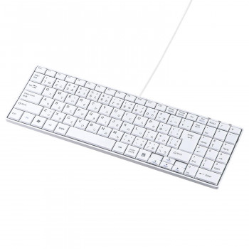 サンワサプライ USBスリムキーボード テンキー付き ホワイト SKB-SL17WN