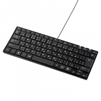 サンワサプライ USBスリムキーボード テンキーなし ブラック SKB-SL18BKN