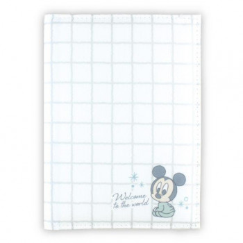 Disney ディズニー ベビーミッキー 母子手帳カバー DBC-1901K