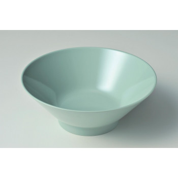 ENTEC　エンテック　CS-14  新形たんめん丼　青磁