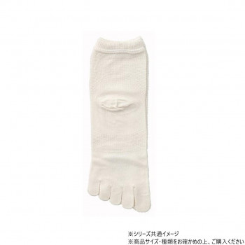 神戸生絲　コベス　紳士シルク混メッシュ5本指ソックス25-26cm  SY507  オフホワイト