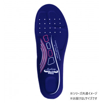 福山ゴム工業　インソール ラスティングブル インソール 2020 L ブルー（品番：LA16800）