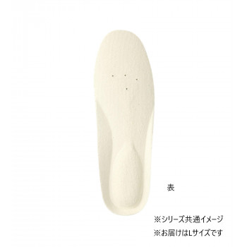 福山ゴム工業　インソール エアーポンプツキ ナカジキ (ブーツヨウ) L グレー （品番：LA16100）