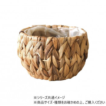 (PP)アミアミ丸 SS(7600031)　7200029