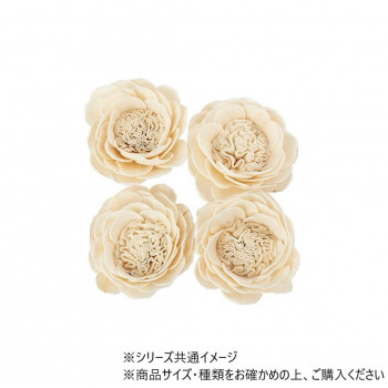 RMソラガーデンローズ　WH　8cm 4個セット　8900003
