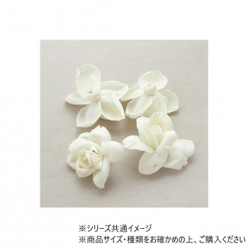 RMソラティーローズ6cm 4個　8900071