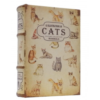 アンティークルック エンプティブックボックス CAT IN054551