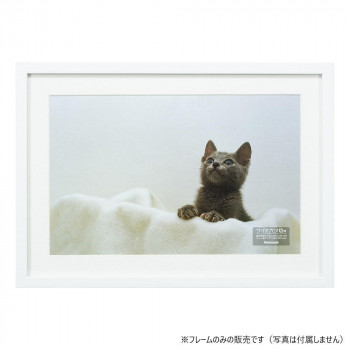 ナカバヤシ　木製写真額/W六ツ切/ホワイト　F-SW-113-W