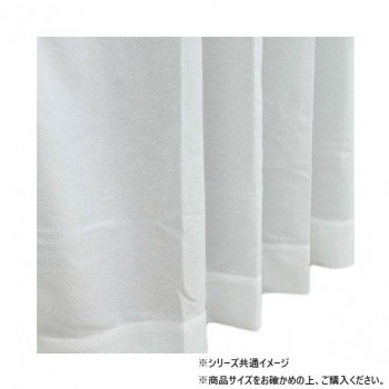 カーテン ナック 2P 100x133 IV 543099000133061