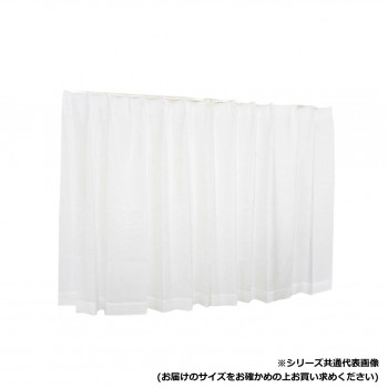 カーテン エードラム 2P 100X176 W 725773000176001