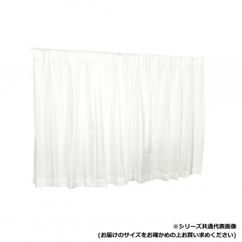 カーテン エコプラント 2P 100×198 アイボリー 725776000198061