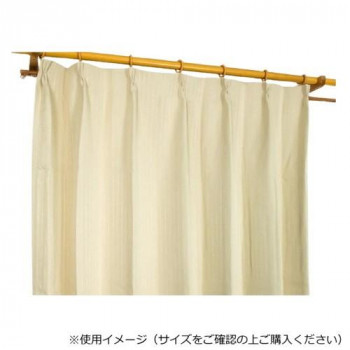 カーテン エクセル 2P 100X178 IV 545367000178061