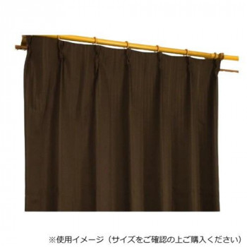 カーテン エクセル 2P100X178 BR 545367000178085