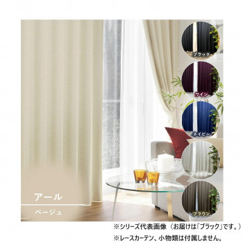 カーテン アール 2P 100×135 ブラック 725858000135009